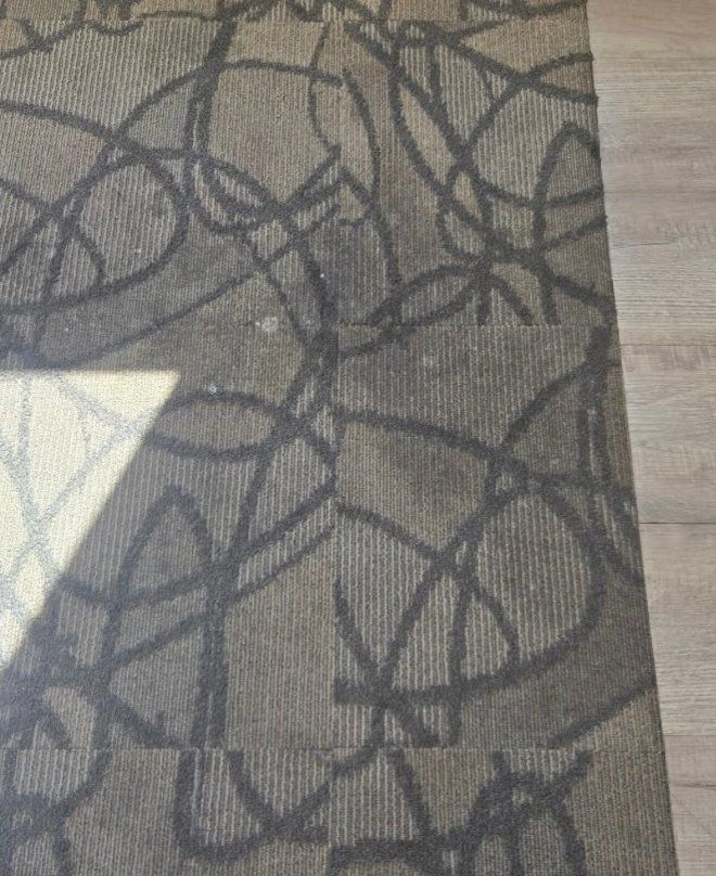 Patterned carpet, before
